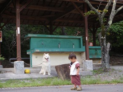 犬と広島のキャンプ場