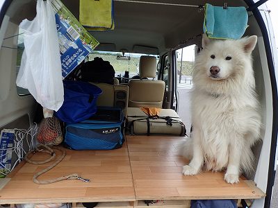 宮城県で犬とキャンプを楽しむ