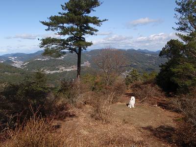 長崎市民の森 林間キャンプ場