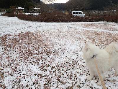 阿武川河川公園